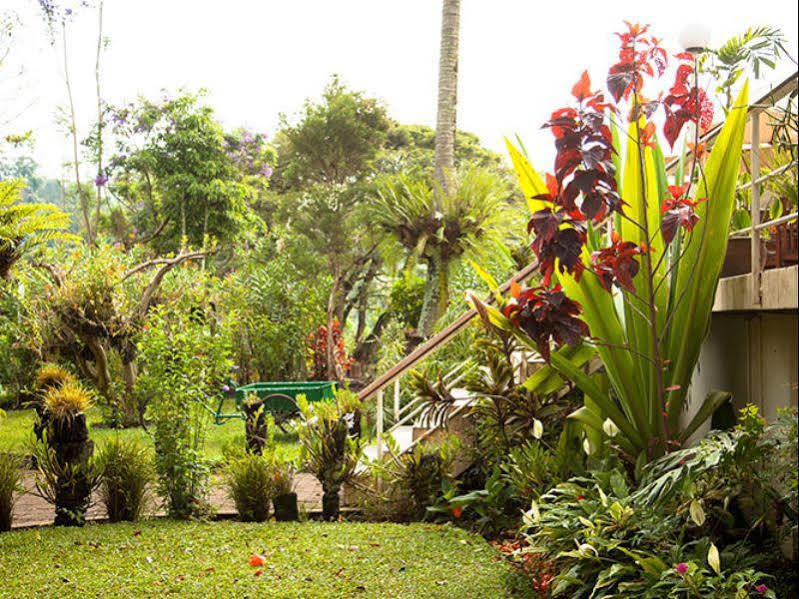 Bird Of Paradise Hotel Goroka Luaran gambar